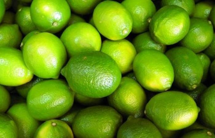 الليمون البلدي - أسعار السوق الحالية وطرق الشراء 2026-01-25